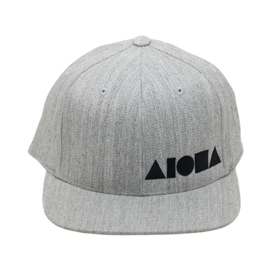 GREYED OUT Adult Snapback