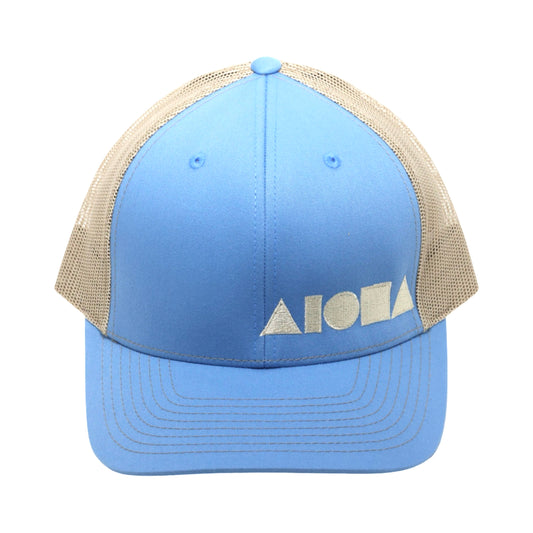 Blue Days Adult Curved Bill Snapback